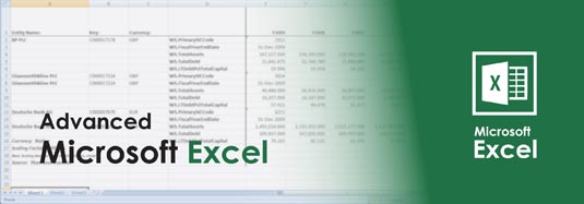 Advanced Excel Course teaches Excel Formulas and Functions and Excel PivotTables