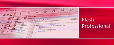 Adobe Flash Training Course
